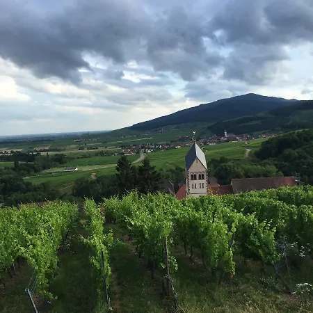 Fleur De Vignes * 이테르스윌레르