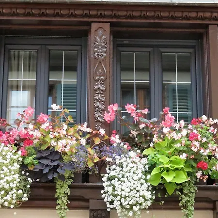 Fleur De Vignes * 이테르스윌레르