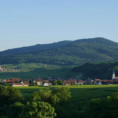 Fleur De Vignes * 이테르스윌레르